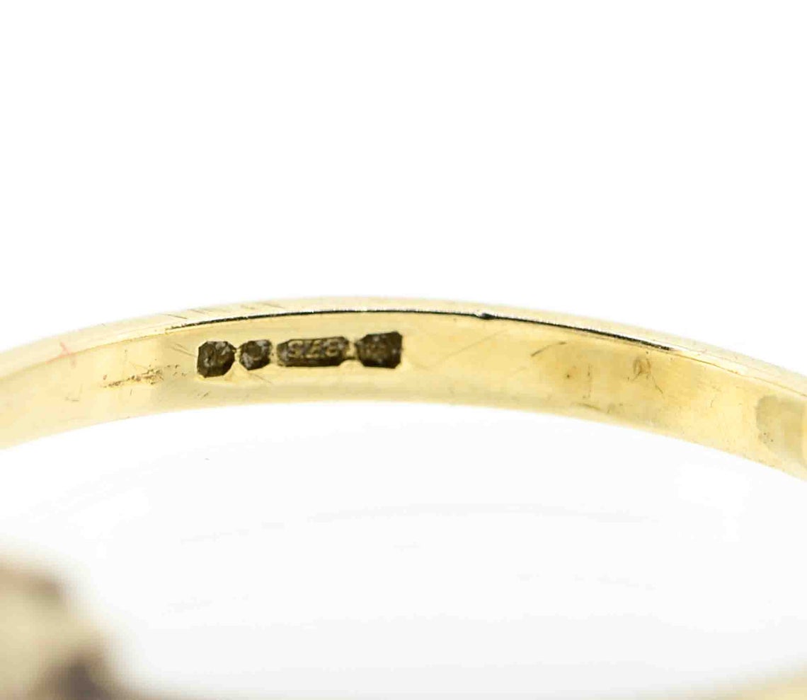 9ct Yellow Gold Ruby and Diamond Dress Ring